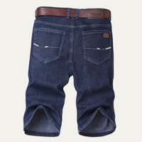 Gregory | Straight Fit Trendy Denim Shorts for Men