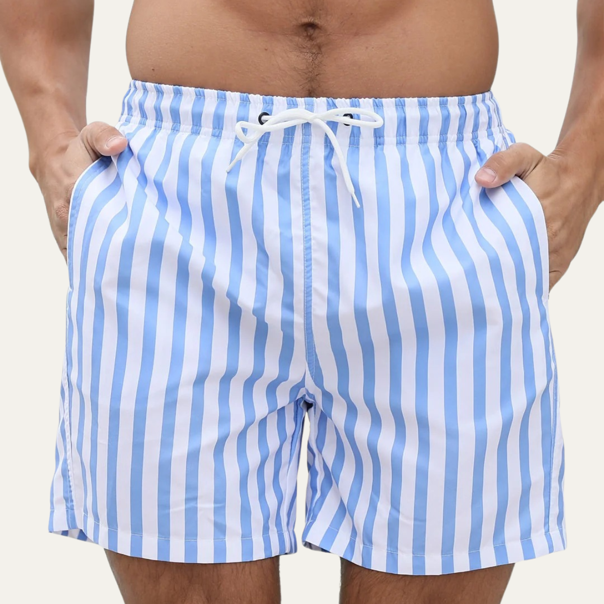 Hale Striped Swim Shorts