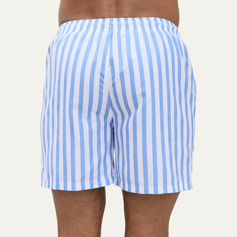 Hale Striped Swim Shorts