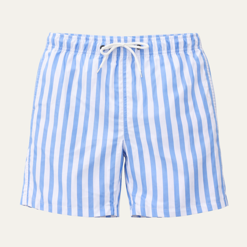 Hale Striped Swim Shorts Blue