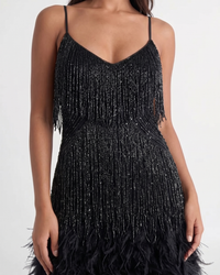 Jeena | Sequin Fringe Feather Mini Dress