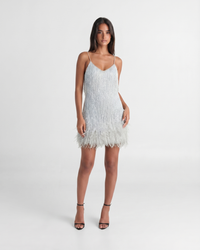 Jeena | Sequin Fringe Feather Mini Dress