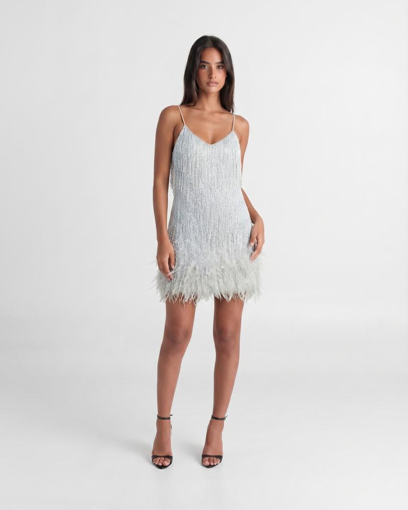 Jeena | Sequin Fringe Feather Mini Dress