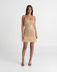 Jeena | Sequin Fringe Feather Mini Dress