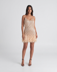 Jeena | Sequin Fringe Feather Mini Dress