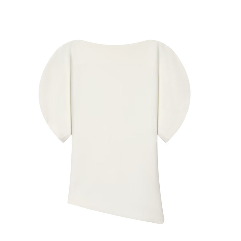 Daisy | puff sleeve top