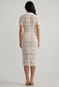 Colette V-Neck Embroidered Lace Midi Dress Beige - Back