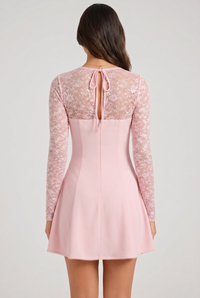 Elodie Floral Sheer Lace Mini Dress Pink - Back