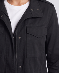 Delphinia Black detail